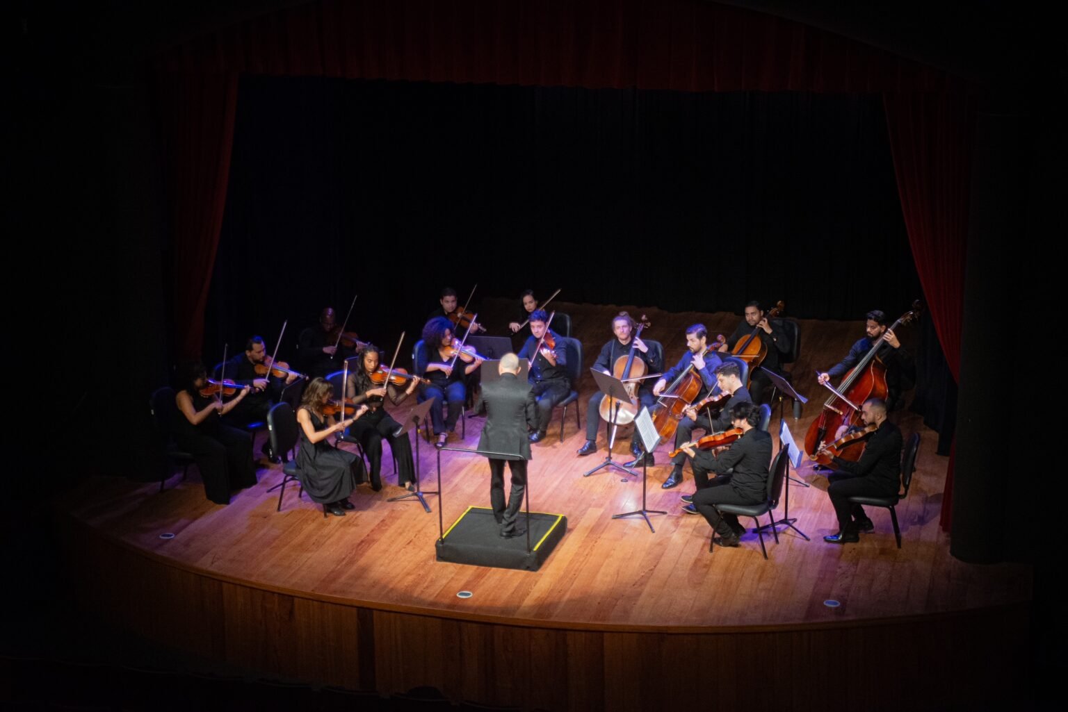 Camerata Sesi apresenta concerto com trilhas sonoras de filmes infantis, em Vitória