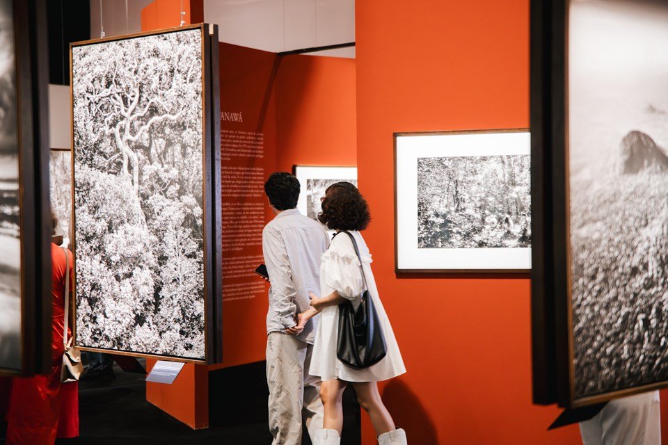Exposição Amazônia no Cais das Artes abre visitas guiadas para grupos