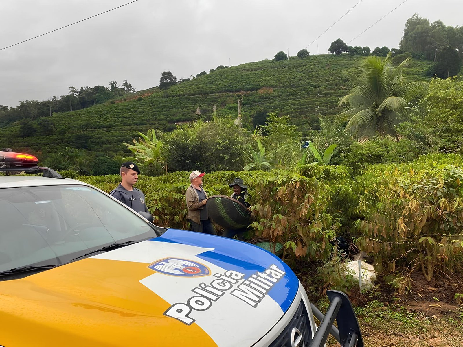 ES ganha reforço na segurança das lavouras durante colheita de café